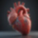 3D Anatomy of the Heart Introduction