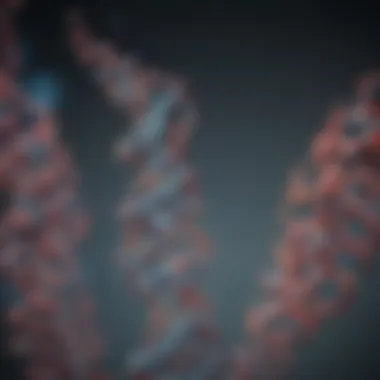 Magnificent Exploring the Functionality and Applications of T7 DNA Ligase Magnificent Exploring the Functionality and Applications of T7 DNA Ligase