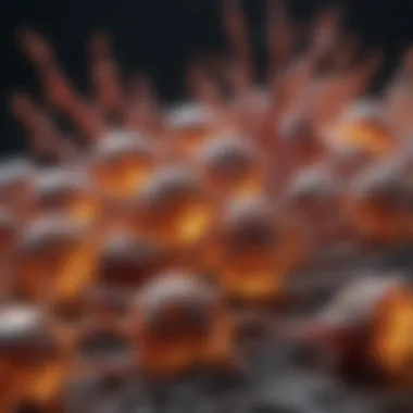 Magnificent FGF19 Antibody: Insights into Mechanisms and Therapeutic Potential
