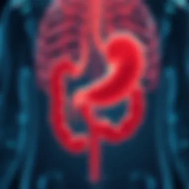 Magnificent Gastric Cancer Prevention Strategies: A Comprehensive Overview