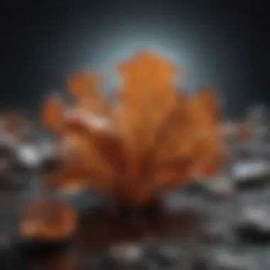 Magnificent Intermediate Fragile X: An In-Depth Exploration Magnificent Intermediate Fragile X: An In-Depth Exploration