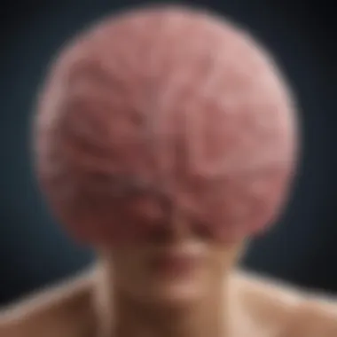 Magnificent Stage 2 Meningioma: An In-Depth Exploration