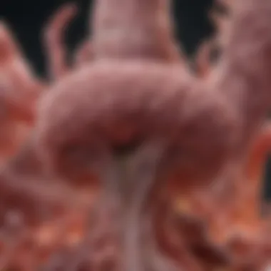 Magnificent Stage 4 Liver and Colon Cancer: A Comprehensive Overview