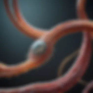 Magnificent The Discovery of CRISPR-Cas9: A Comprehensive Exploration Magnificent The Discovery of CRISPR-Cas9: A Comprehensive Exploration
