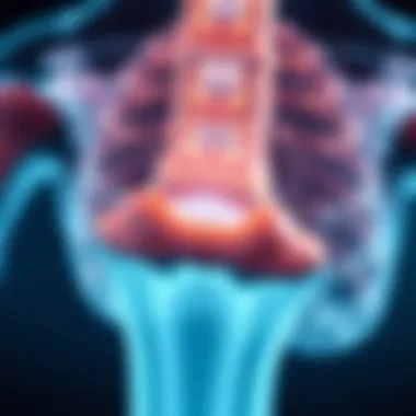 Magnificent Understanding Bone Metastases: Insights into ICD-10 Classification Magnificent Understanding Bone Metastases: Insights into ICD-10 Classification