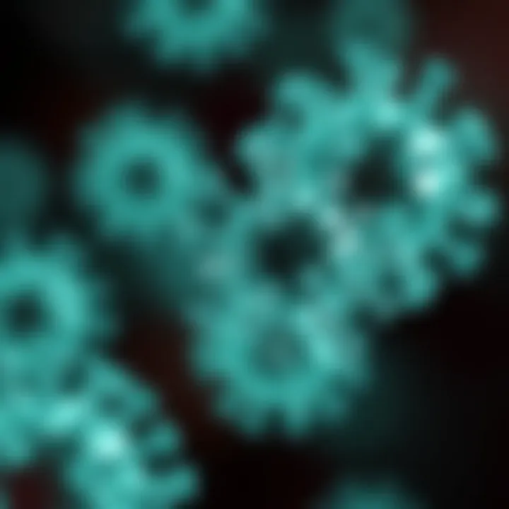 Magnificent Understanding Chlamydia and the Efficacy of Antibiotics in Treatment