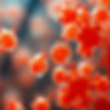 Magnificent Yeast Cell Counting: Techniques, Importance, and Applications Magnificent Yeast Cell Counting: Techniques, Importance, and Applications