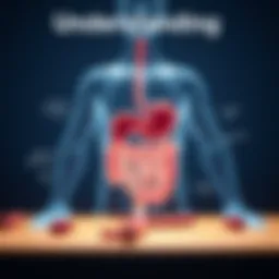 Illustration depicting common IBS symptoms