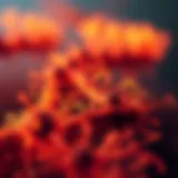 A Comprehensive Examination of Flow Staining Protocols Introduction