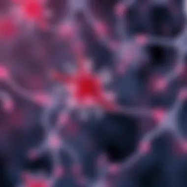 A Comprehensive Examination of Flow Staining Protocols Summary
