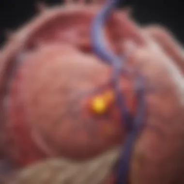 Graph depicting outcomes and effectiveness of ablation