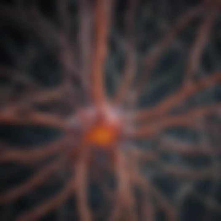 An abstract representation of neural pathways associated with olfactory and gustatory senses.