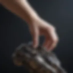 Historical evolution of prosthetic technology