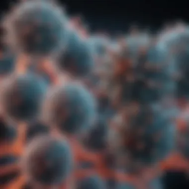 RSV Virus Structure Visual representation of RSV virus structure
