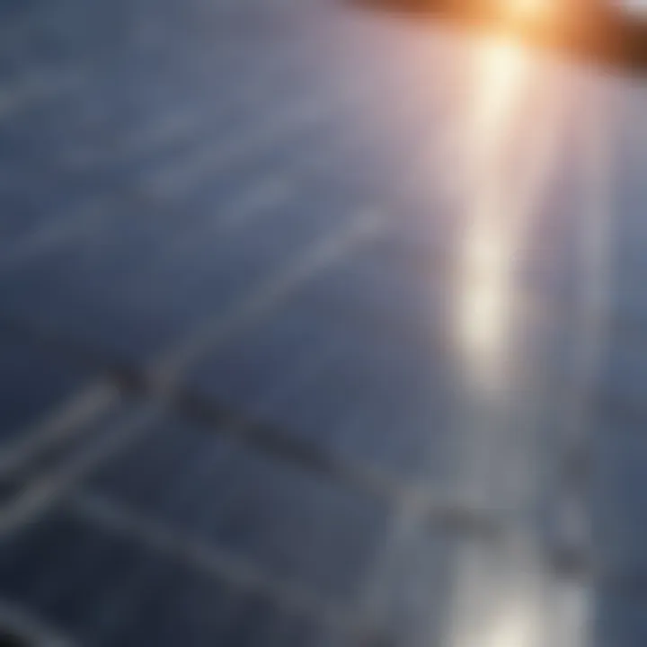 A close-up of solar cells capturing sunlight