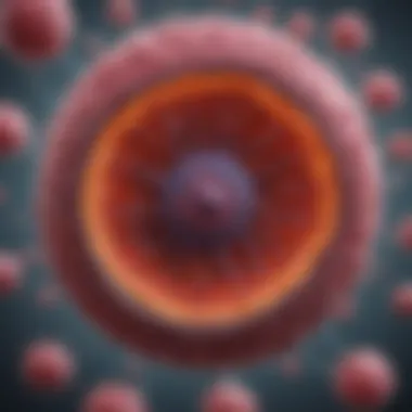 Hepatocyte Anatomy and Functionality Detailed structure of hepatocytes showcasing their functionality in metabolism.