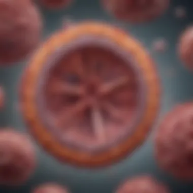 Kupffer Cells and Immunity in the Liver Kupffer cells depicted in the liver, highlighting their immunological roles.