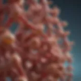 Illustration of zein protein structure and properties