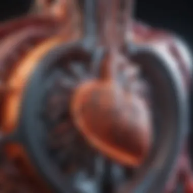 Advanced Cardiac Imaging Technology An illustration showcasing advanced cardiac imaging technology.