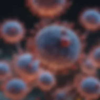 Structure of antibodies