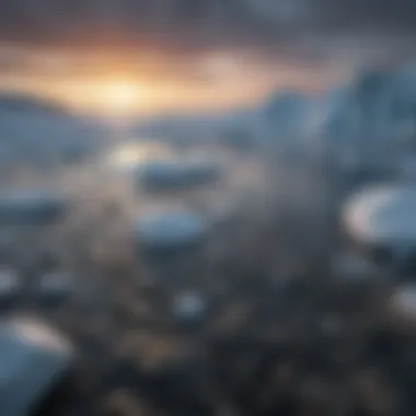 Impact on Arctic Ecosystems from Climate Change Ecosystem shifts due to climate change