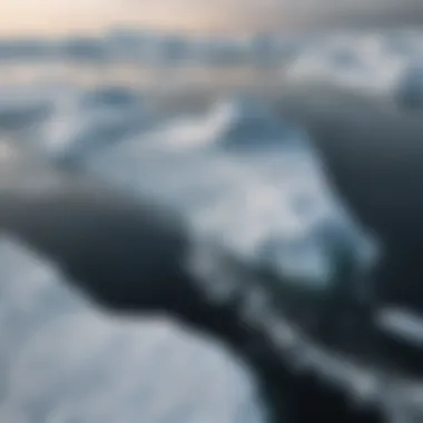 Global Implications of Arctic Melting Global map indicating affected regions by Arctic melting