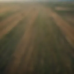 Aerial view of vast agricultural fields in Ukraine