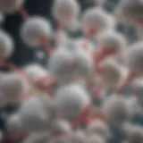 Aspirin molecules interacting with kidney cells