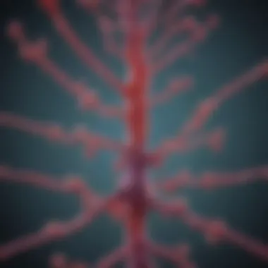 Diagram of autoimmune disease pathways involving centromere B antibodies