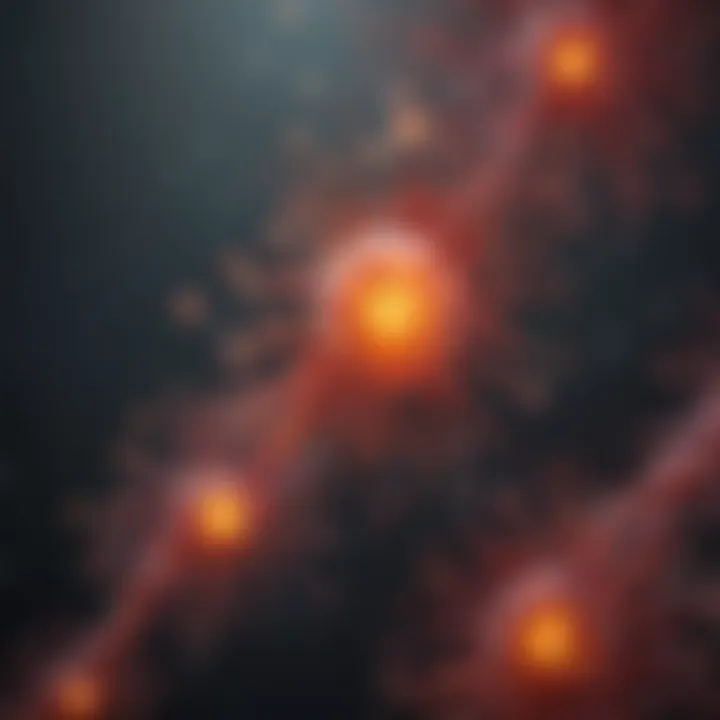 Signaling pathways in B cell activation