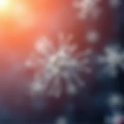 Mechanism of action of biological DMARDs