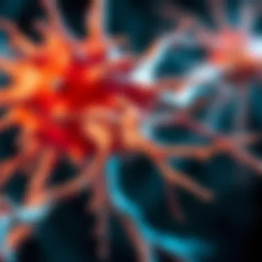 Biological mechanisms behind nerve recovery