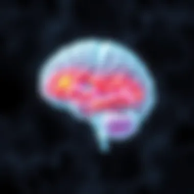 A brain illustration highlighting areas affected by bipolar disorder