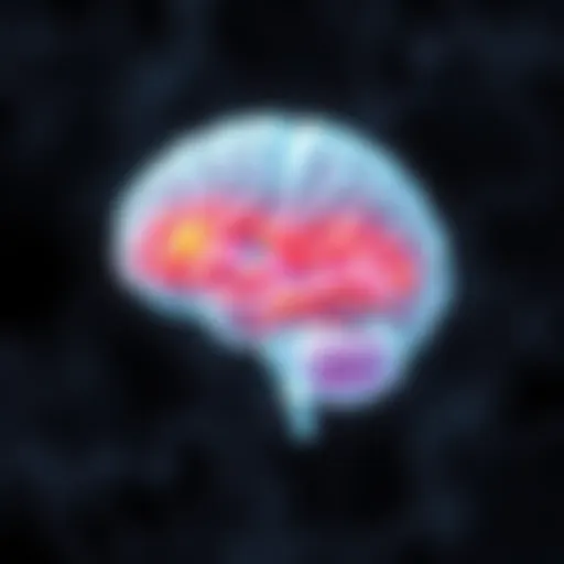 Neurobiological Aspects of Bipolar Disorder A brain illustration highlighting areas affected by bipolar disorder
