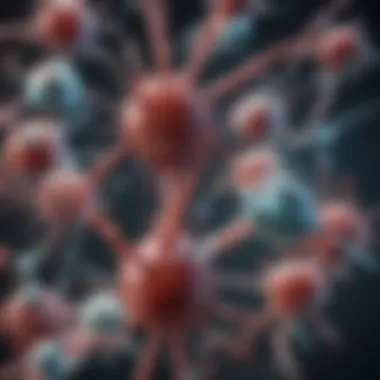 Graphical representation of bispecific antibodies mechanism of action