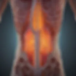 Diagram illustrating the metastatic pathways of bladder cancer to bone