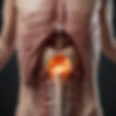 Treatment Options for Bone Metastasis Visual representation of treatment options for patients with bladder cancer and bone metastasis