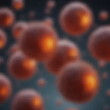 Microscopic Examination of Leukemic Blast Cells Microscopic view of blast cells in leukemia
