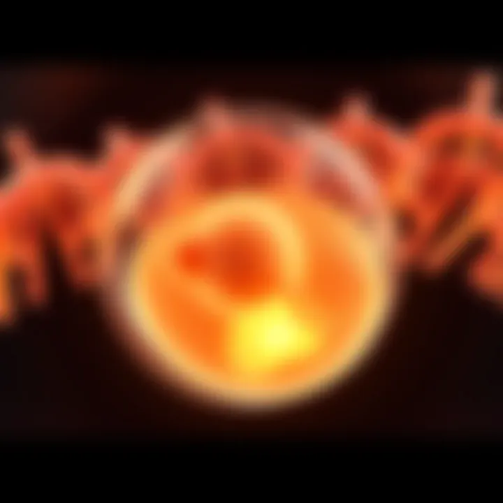 BMP 4 in Embryogenesis Diagram showcasing BMP 4's role in embryonic development