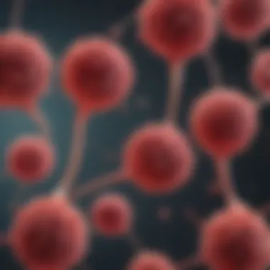 BMSCs and Hematopoietic Cells Interaction Diagram illustrating the interaction between BMSCs and hematopoietic cells
