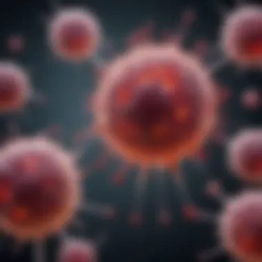BMSCs in Regenerative Medicine Graphical representation of BMSCs in regenerative medicine