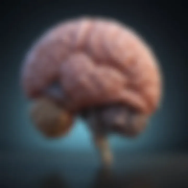 Visual representation of brain functions impacted by cognitive impairment