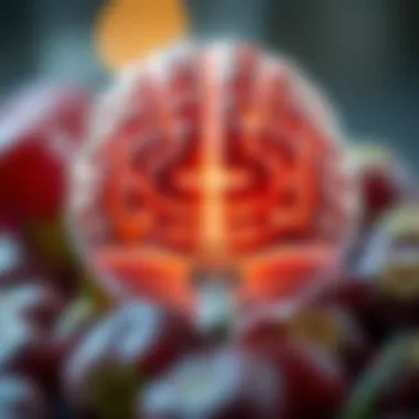 Brain Tumor Shrinking Foods: Understanding Their Impact and Efficacy Summary