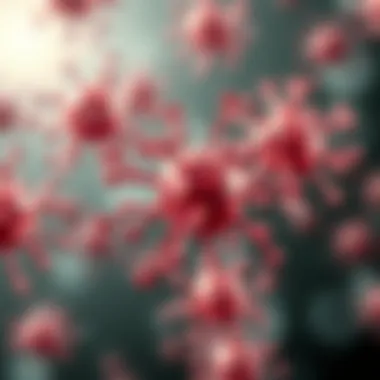 Mechanisms of action for CD 5 antibodies in immune response.