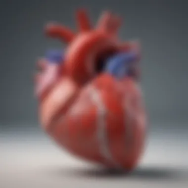 Understanding Heart Anatomy in Diastolic Heart Failure An anatomical diagram illustrating the heart's structure and blood flow dynamics.