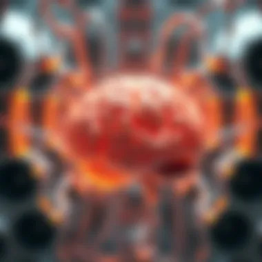 Neurological mechanisms affecting cognitive function