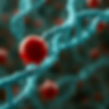 Genetic Influences on Cold Hemoglobinuria Genetic factors in hemoglobinuria