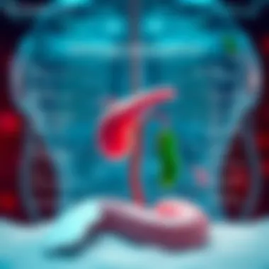 Pathophysiological Mechanisms of Cold Hemoglobinuria Pathophysiology diagram of cold hemoglobinuria