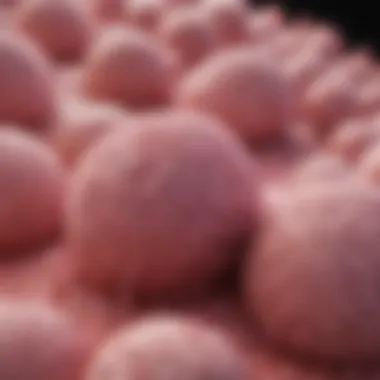 Epidemiological Insights into Colloid Carcinoma Graph illustrating the epidemiology of colloid carcinoma in breast cancer
