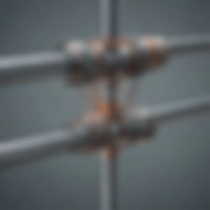 Illustration showing the structure and placement of Harrington rods